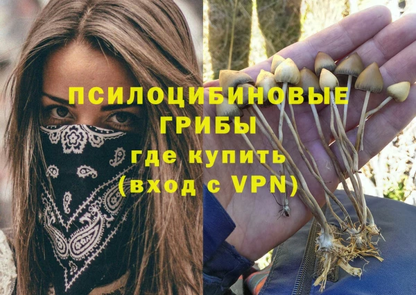 кристаллы Краснослободск