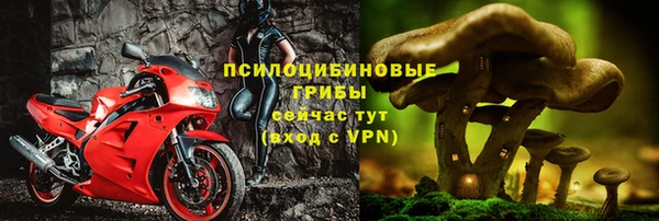кристаллы Краснослободск