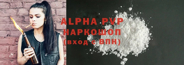 твердый Новозыбков